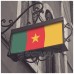 BENDERA CAMEROON
