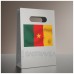 BENDERA CAMEROON