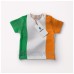 BENDERA IRELAND