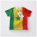 BENDERA SENEGAL
