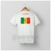 BENDERA SENEGAL