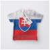 BENDERA SLOVAKIA
