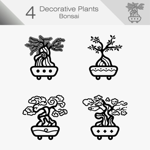 Decorative Plant 010