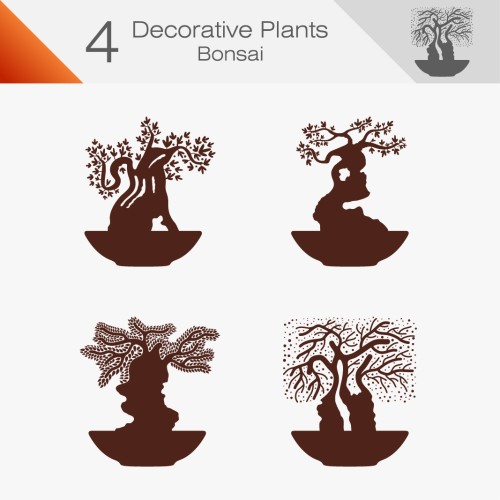 Decorative Plant 020