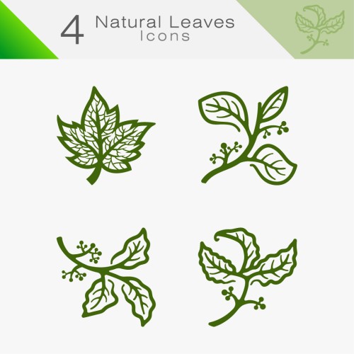 Natural Leaves 01