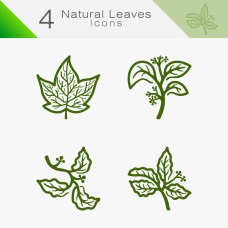 Natural Leaves 02