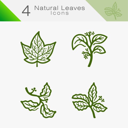 Natural Leaves 02