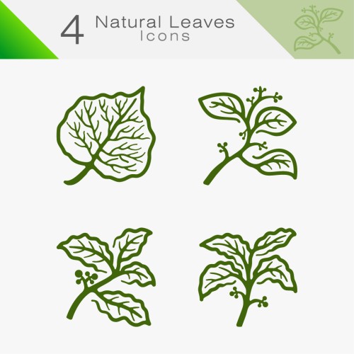 Natural Leaves 03
