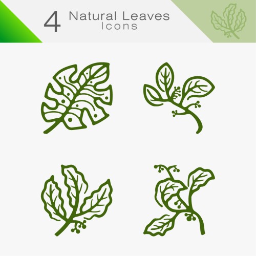 Natural Leaves 04