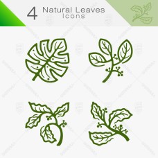 Natural Leaves 05