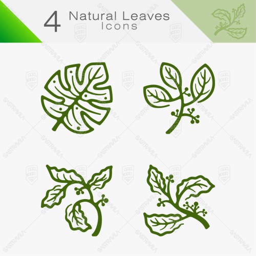 Natural Leaves 05