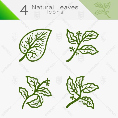 Natural Leaves 06