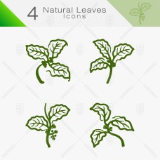Natural Leaves 07