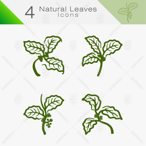 Natural Leaves 07