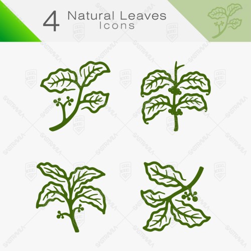Natural Leaves 08