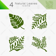Natural Leaves 09