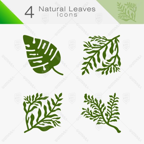 Natural Leaves 09