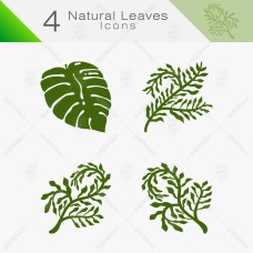 Natural Leaves 10