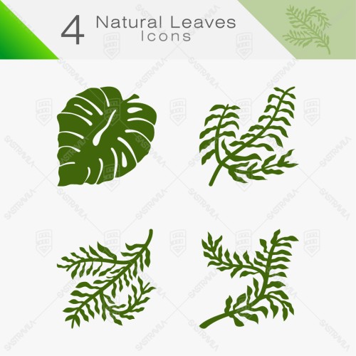 Natural Leaves 11
