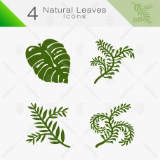Natural Leaves 12