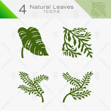 Natural Leaves 13