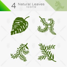 Natural Leaves 14