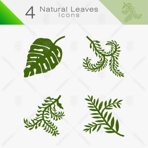 Natural Leaves 14