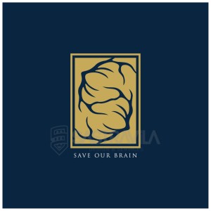 Brain 2