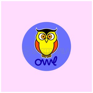 Owl 1