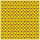 POLA & PATTERN